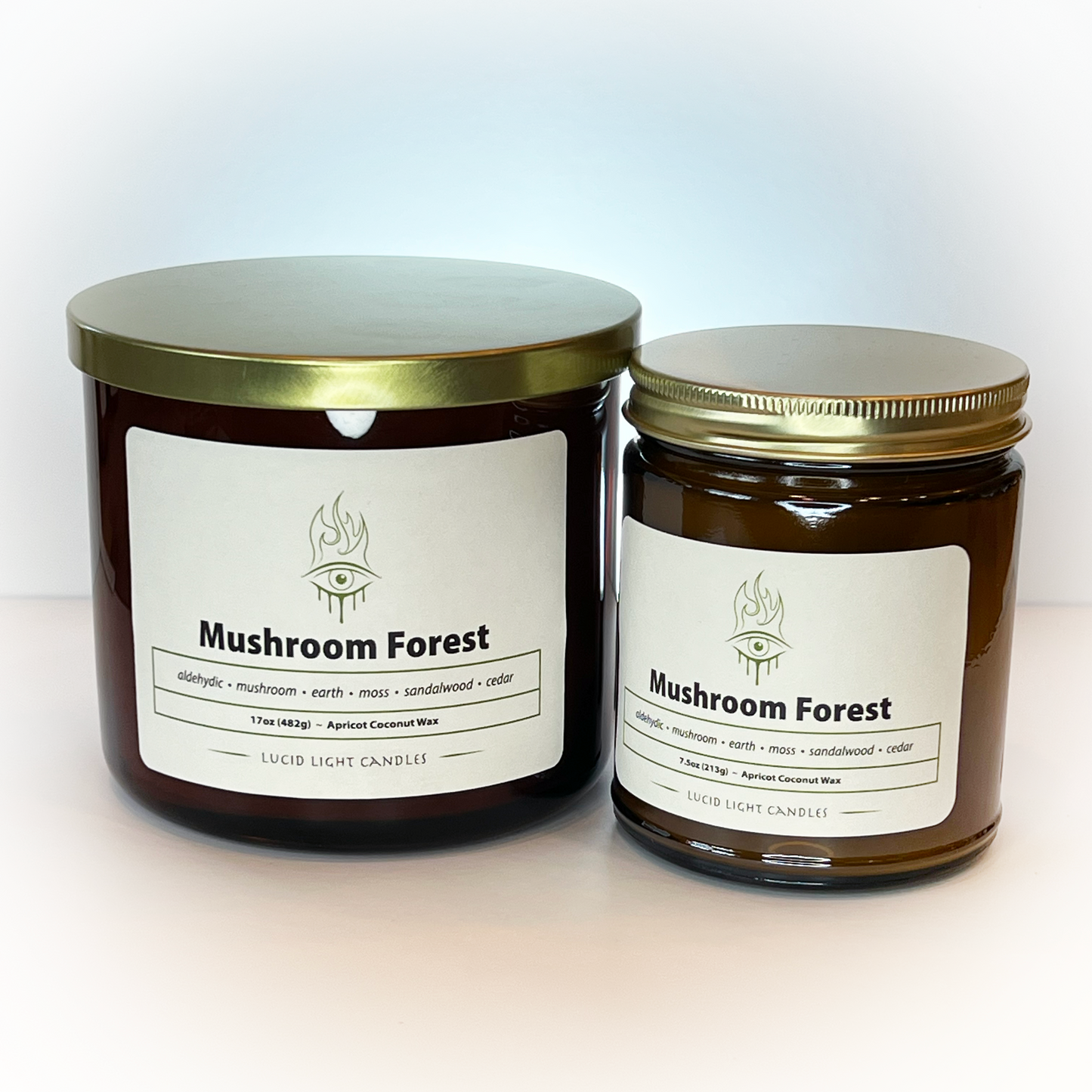 Mushroom Forest